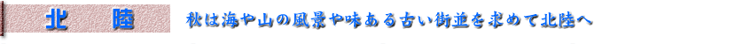 RA[H͊CR̕i□ÂX߂Ėk