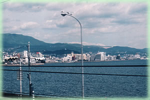 �ʕ{�C���i01