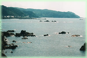 �R�A�C���i01