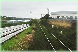 ����R���i