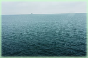 ����B�̊C���i